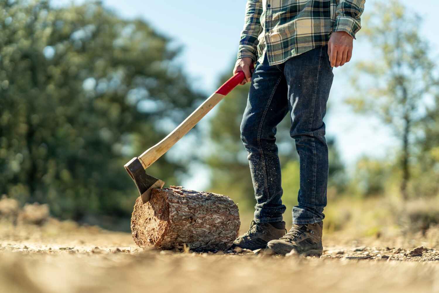 The Steps Involved in Our Tree Care Process in Presque Isle, ME